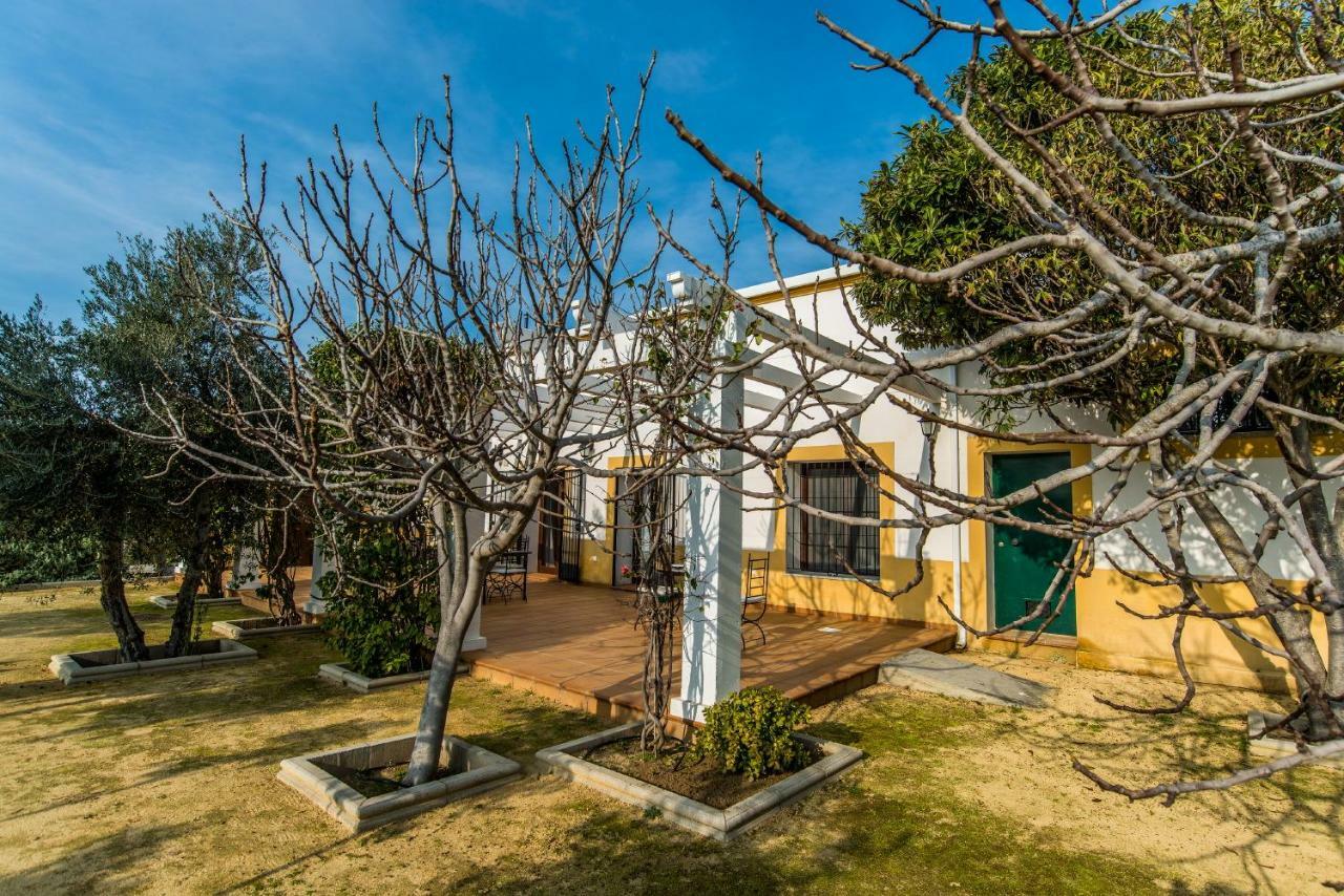 Vivienda Rural Olivar De San Telmo Arcos de la Frontera Eksteriør billede