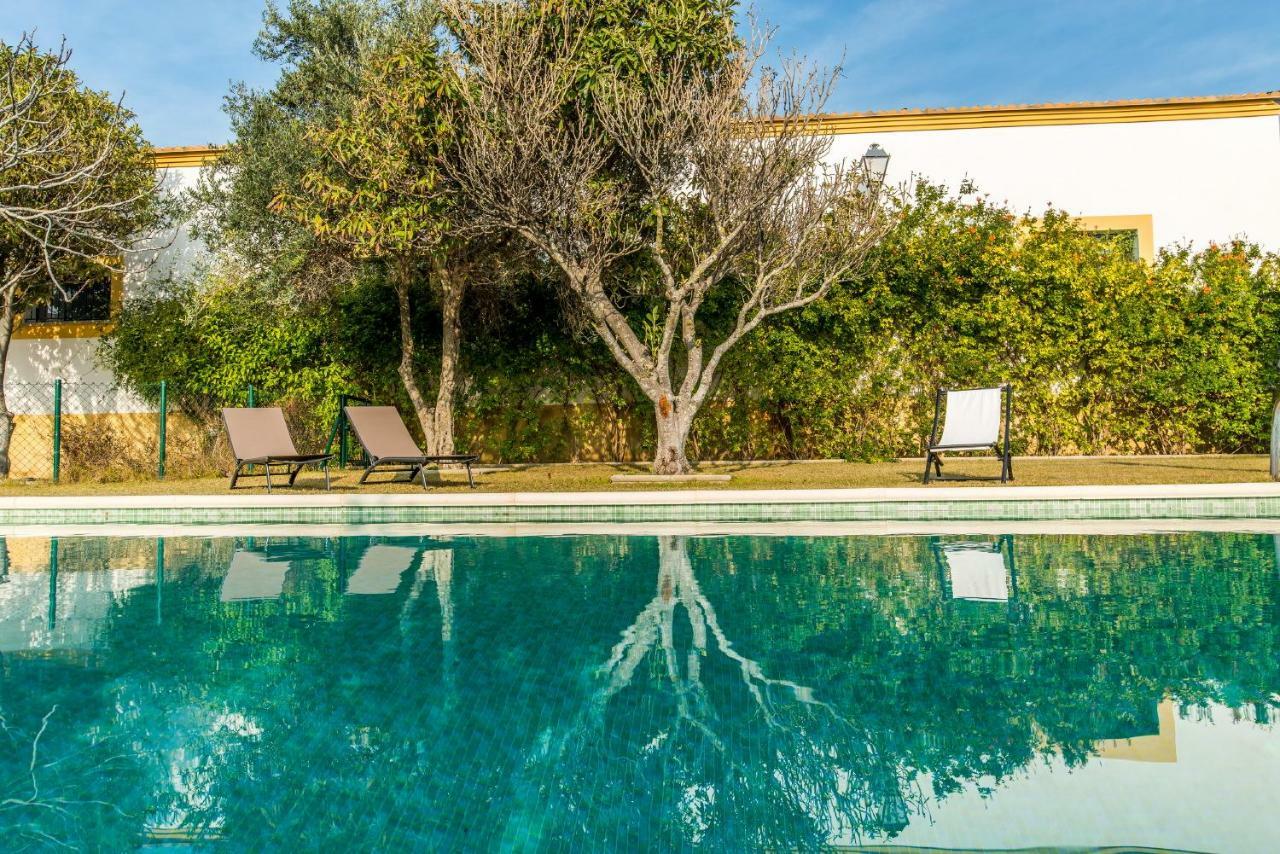 Vivienda Rural Olivar De San Telmo Arcos de la Frontera Eksteriør billede