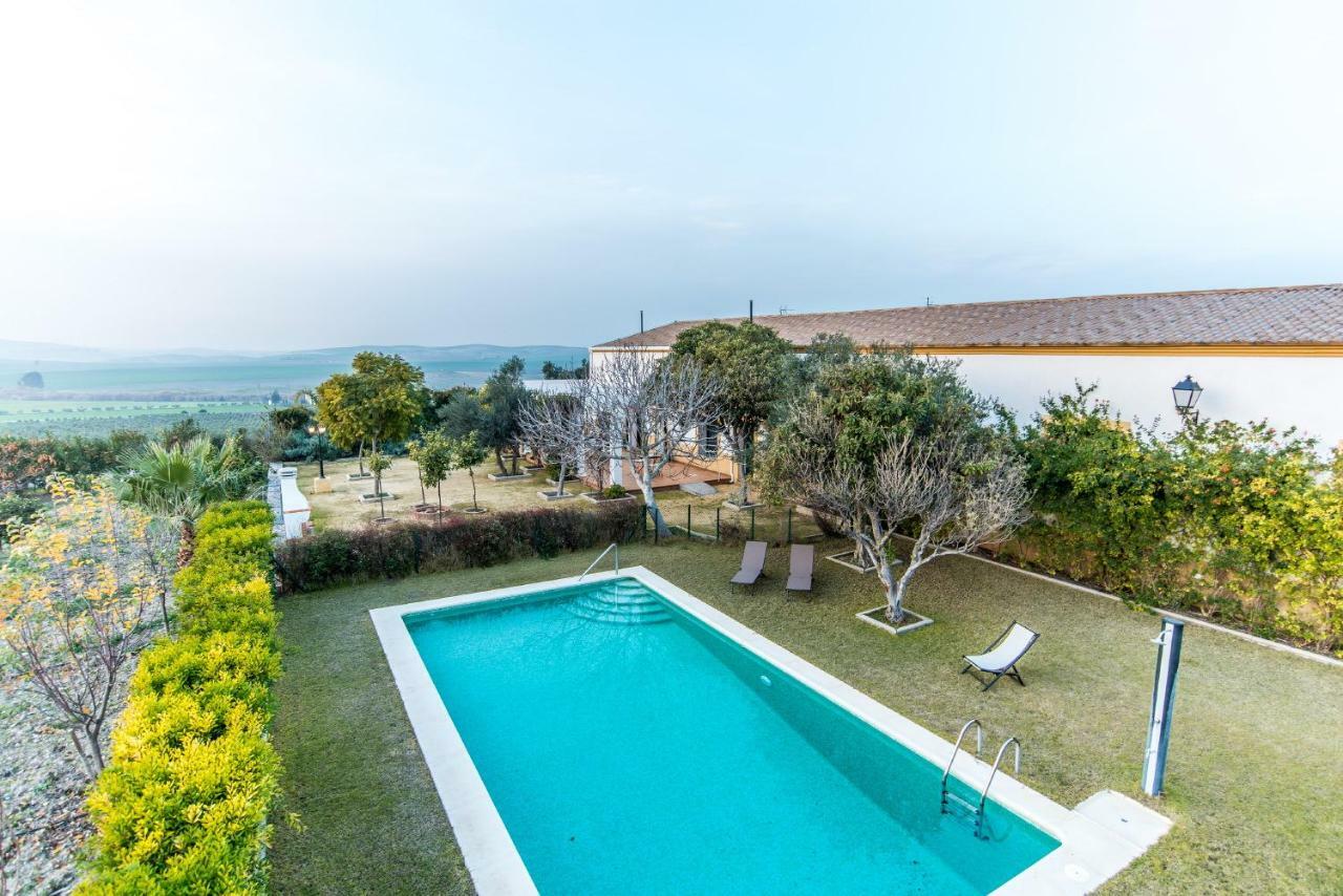 Vivienda Rural Olivar De San Telmo Arcos de la Frontera Eksteriør billede