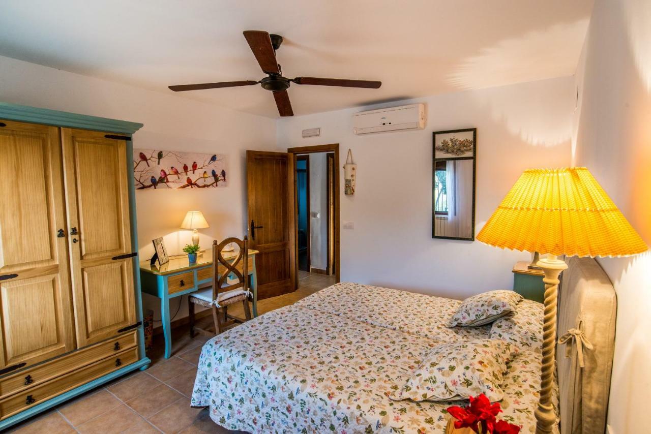 Vivienda Rural Olivar De San Telmo Arcos de la Frontera Eksteriør billede
