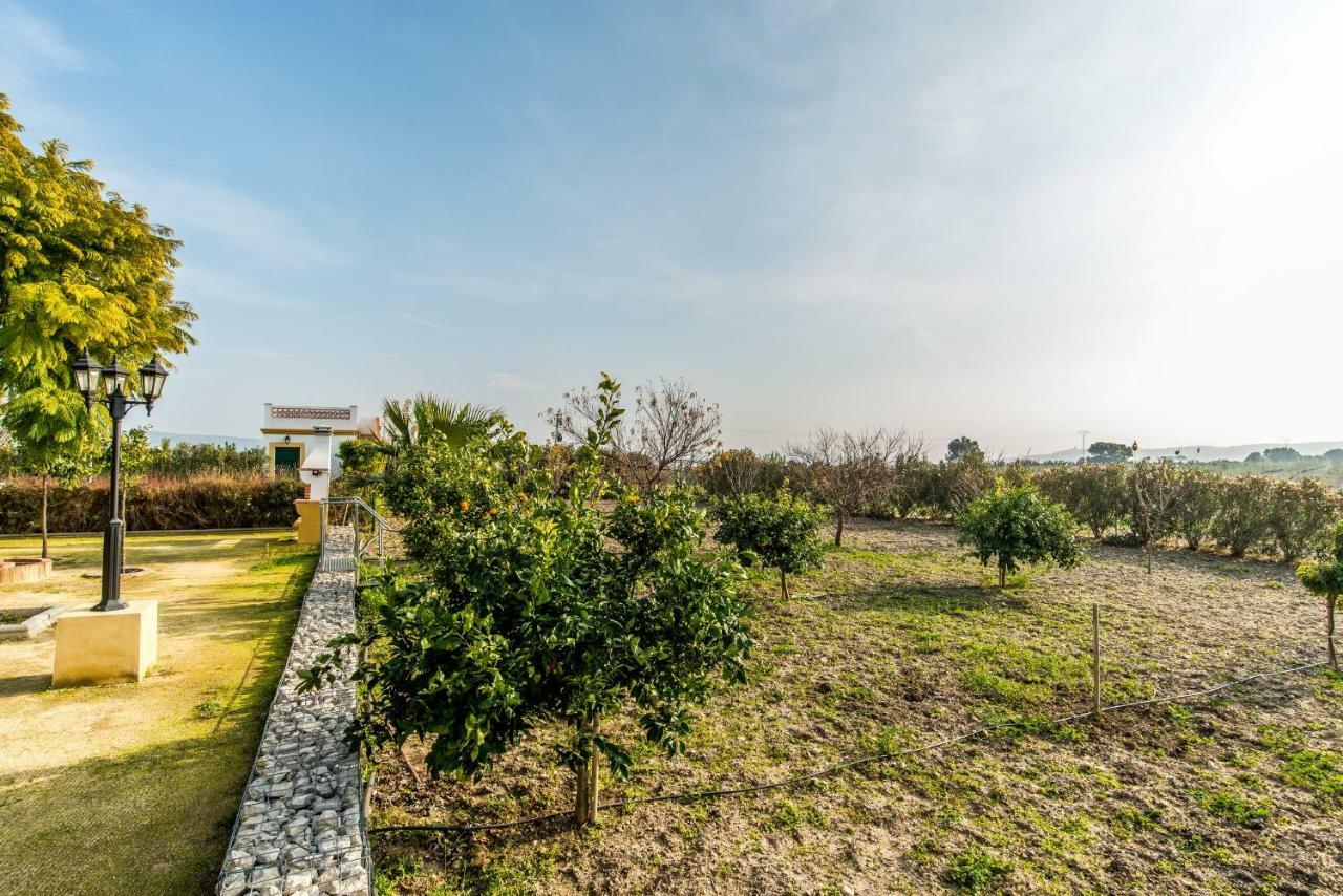 Vivienda Rural Olivar De San Telmo Arcos de la Frontera Eksteriør billede